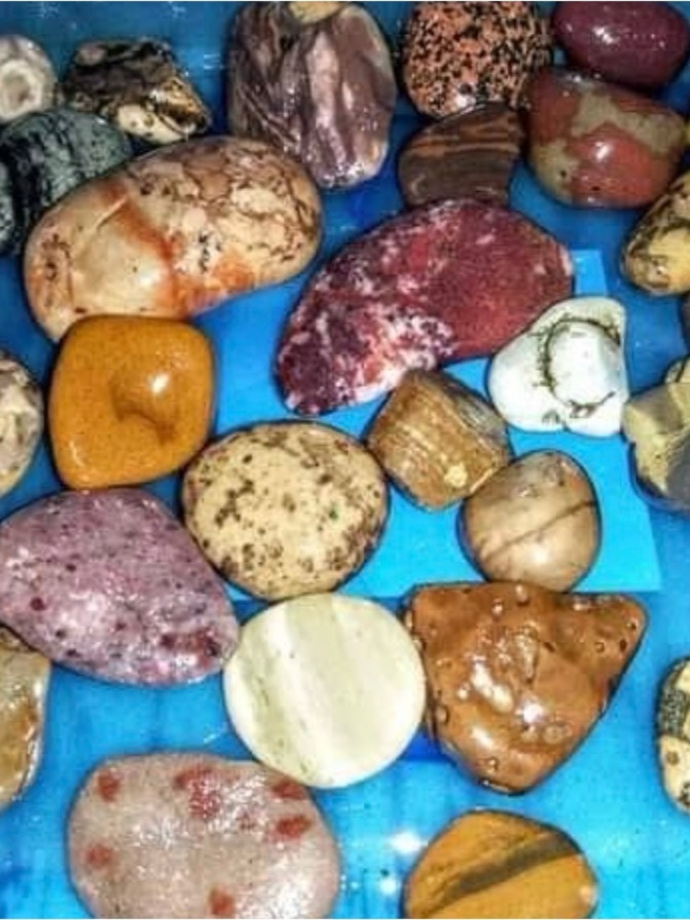 Lake Michigan Great Lakes Pallet. Yooperlites, fossils, beach glass, hag stones. - Picture 4 of 16
